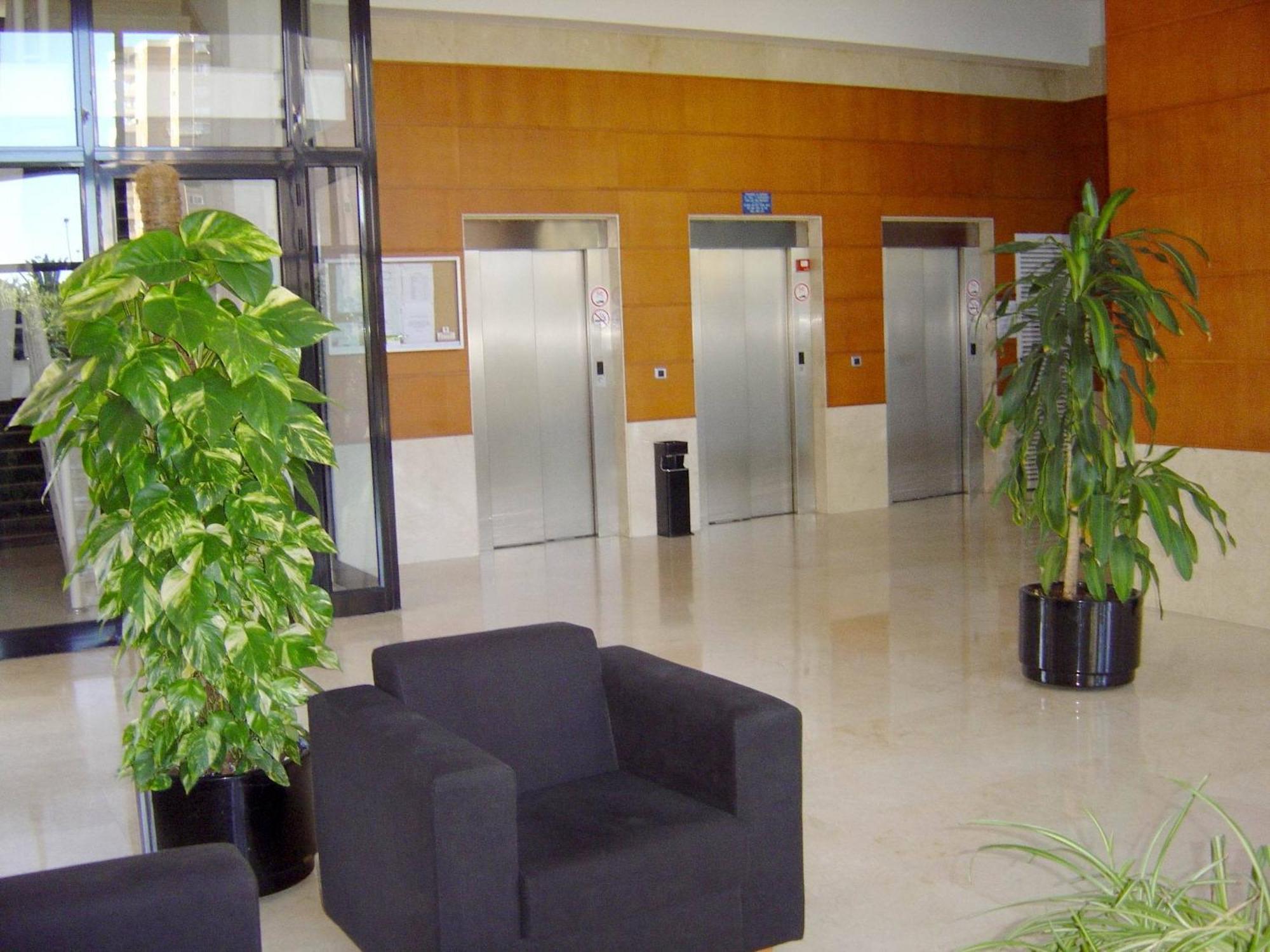 Apartamentos Torre Ipanema 베니돔 외부 사진